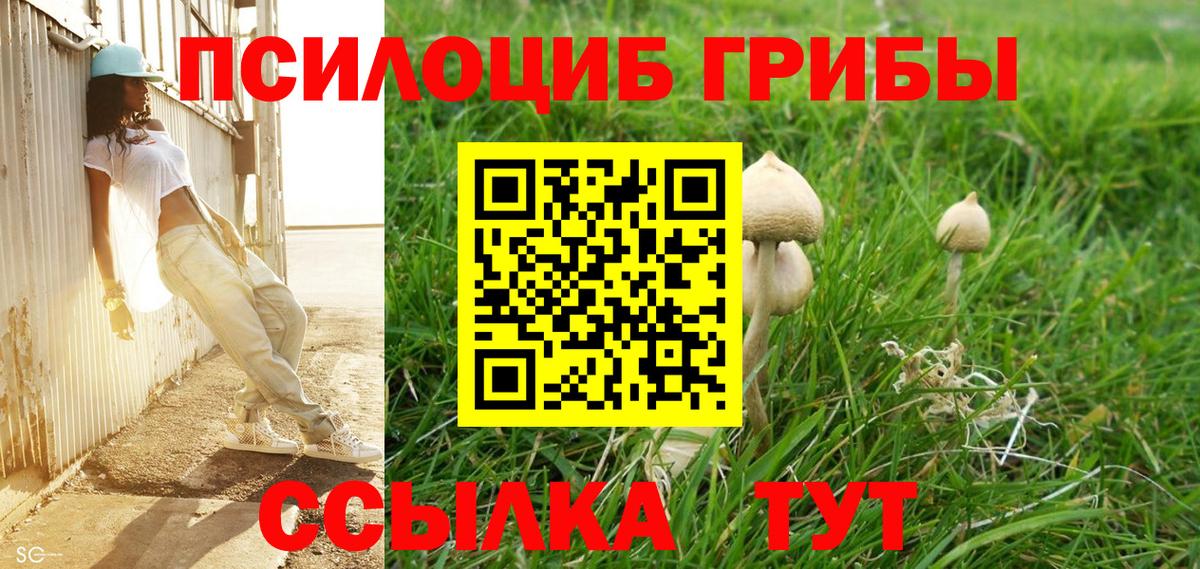 Галлюциногенные грибы мицелий Архангельск
