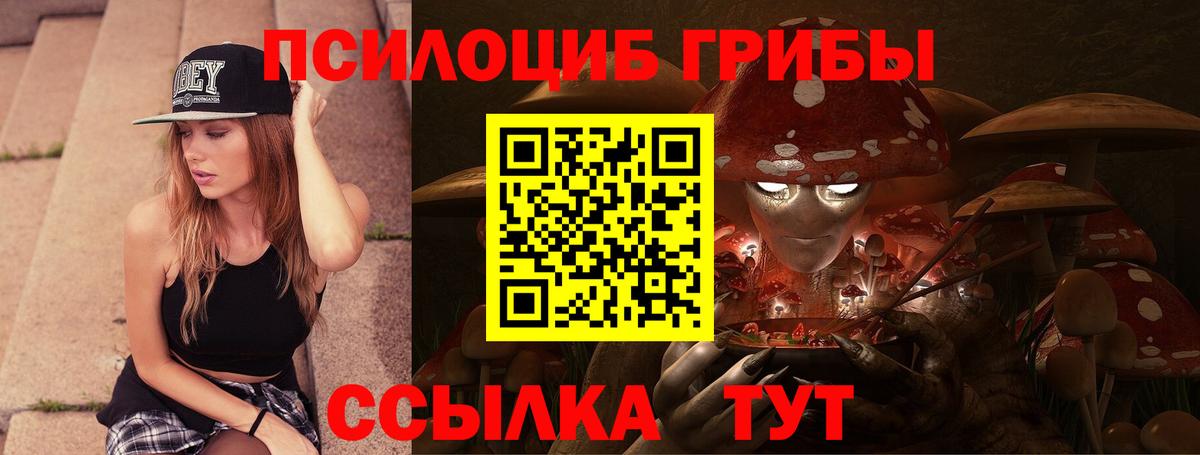 где можно купить наркотик  Псилоцибиновые грибы Magic Shrooms  Вход с VPN  Архангельск 